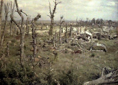 An Area Near the Castle with Buildings and Trees Damaged by Artillery Fire, Chaulnes, Somme, France, 1917 by Fernand Cuville